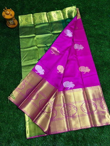 Kanchi Pure silk Sarees